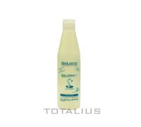 PROTEÍNAS DE SEDA SALERM 21 (1 unidad x 250 ml) NUEVO FORMATO