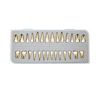 Prótesis postizas a presión, modelo de dientes 1:1 para adultos, kit de demostración de dientes permanentes y fabricación de prótesis postizas acoplables, color blanco