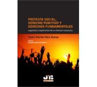 Protesta Social Derecho Punitivo Y Derechos Fundamentales (ebook)