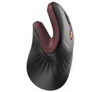 ProtoArc Ratón Ergonómico, EM11 NL Inalámbrico Mini Vertical Ratón óptico Recargable con 3 Puertos de Dispositivo (2*Bluetooth y USB), 3 dpi Ajustables para Ordenador Mac Windows