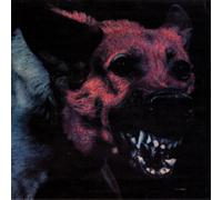 Protomartyr Under Color of Official Right (Vinyl) 12" Album