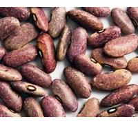 Provence Fagioli, organici, ha avuto origine in, e Seeds color.100 viola!:Seeds