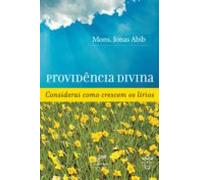 Providência Divina (ebook)