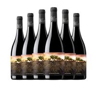 Proyecto Garnachas La Garnacha Olvidada de Aragón Garnacha Calatayud 75 cl Vino tinto (Caja de 6 Botellas de 75 cl)