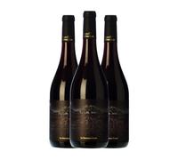 Proyecto Garnachas La Garnatxa Fosca Garnacha Priorat 75 cl Vino tinto (Caja de 3 Botellas de 75 cl)