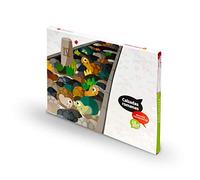 Proyecto ¿Lo ves? - Calzadas romanas