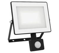 Proyector LED con sensor Lois Flood (30 W, Negro, L x An x Al: 6 x 19 x 16 cm, Blanco frío)