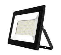 Proyector LED SMD IP65 220VAC Blanco 4000K 100W 7000Lm