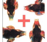 Prozac Plus - Testa Di Plastica