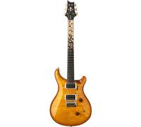 PRS Birds Of A Feather Custom 24 H