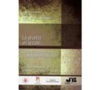 Pruebas En Accion. Estrategias Procesales En Materia Probatoria. Libro