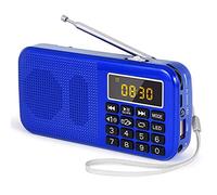 Prunus J-725 - Radio portátil, Radio FM con batería Recargable de Gran Capacidad (3000 mAh), con Reloj/Alarma y iluminación de Emergencia, Compatible con MP3/SD/USB/AUX