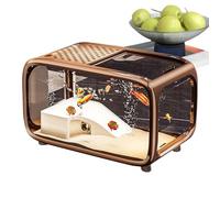 Pruojhw - Acuario de Oficina | Pequeño Acuario para Peces Betta con decoración escalable y escalable, hábitat acuático de acrílico con Orificio de alimentación para Tortugas camarones Betta Y