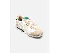 PS Paul Smith ALADDIN 40 Beige