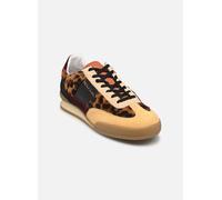 PS Paul Smith DOVER 39 Multicolor