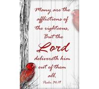 Psalm 34:19: Many Are The Afflictions Of The Righteous - Journal Book - Beautiful Red Bird