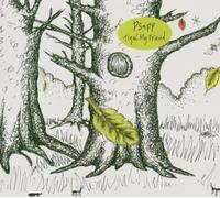 Psapp - Tiger,My Friend