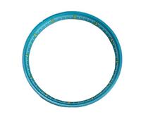 PSDFJAD ZHGUIMING Anillo de sección de Reloj de 31,5mm, círculo de Sombra Interior de plástico Modificado for Accesorios de Reloj de Movimiento NH35/NH36/4R/6R/SKX007(Light Blue)
