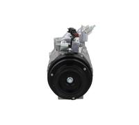 Compresor del aire acondicionado R 134 a PAG 46 090.595.084.050 BV PSH para FORD