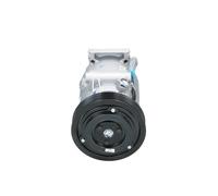 Compresor del aire acondicionado R 134 a PAG 46 090.575.018.040 BV PSH