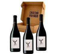 Psi Dominio de Pingus - Envío Gratis 24 H - 3 Botellas - Ribera del Duero - Vino Tinto - Seleccionado y enviado por Cosecha Privada