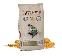 Psittacus High Protein Hand-Feeding 1 kg | Papilla para Amazonas, Cacatúas y Cotorra de Kramer | Alimento Premium para Aves, 100% no-GMO