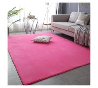 PSNKLMM Alfombra Gruesa for Sala de Estar, Alfombra de Lana Coral for área Grande, Alfombra Suave for Suelo de Juegos for niños, Estera de Yoga for cabecera y Ventana for niñas(2,50x80cm(19x31 in)