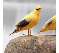 Pssopp Adorno de Animales con Plumas Artificiales para Jardín, Pájaro de Simulación Hecho a Mano para Decoración del Hogar, Balcón, Jardín, Modelo Realista de Oriole de Aprox. 7,87x5,91x3,15 Pulgadas