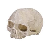 Pssopp Adornos de calavera de resina para acuario, decoración de esqueleto de cabeza artificial, pecera, decoración decorativa, cueva, paisaje, terrario, reptil