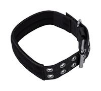 Pssopp Collar de Nailon para con Hebilla Metálica, 5 Ajustes, Resistente para Perros Grandes, Entrenamiento (M)