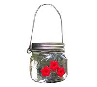 Pssopp Comedero para Pájaros Colgantes