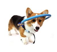 Dispositivo para la guía del arnés del Perro Ciego Mascotas seguras Anticolisión Collar del Collar Catarata Guía del círculo Protector del Animal para discapacitados visuales (M)