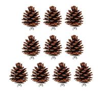 Pssopp Juguete para Masticar Loros, Cono de Pino, Juguete para Pájaros, para Periquitos, Guacamayo, Cacatúa, Pinzón con Tuercas de Fijación