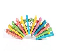 Pssopp Juguete para Masticar Loros, Cuentas y Bloques de Madera de Colores, Columpio para Pájaros, para Cacatúas y Periquitos, Fácil de Colgar en Jaula