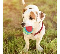 Pssopp Pelota de Goma para Cachorros, Juguete para Masticar con Dispositivo de Sonido, Juguete Interactivo Resistente a Mordeduras para Perros y Gatos, Ideal para Entrenar y Jugar