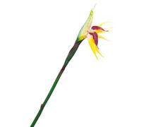 Pssopp Planta Artificial de Ave del Paraíso, Flor Artificial de Paraíso Permanente, Flor de Seda Sintética Realista con Tallos de Alambre de Plástico para Decoración de Interiores en el (Yellow)
