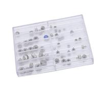 Pssopp Set de Barra de Primavera de Corona de Acero Inoxidable de 50pcs Reloj Kit de Reemplazo de Reemplazo de la Corona Juego de Piezas de la Corona, Mira Corona con Caja de