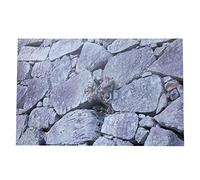 Pssopp Telón de fondo autoadhesivo para acuario y terrario de reptiles, calcomanía de piedra de roca subacuática, decoración de papel de pared de PVC (91 x 50 cm)