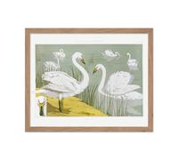 Pster Master Classic Animal Poster - Vintage Esterlina esttica - Regalo para un amigo Artista - White Wild Swans on the Lake Nature Adorable -
