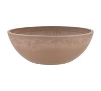 PSW Maceta Baja Poco Profunda para suculentas, bonsái, Jardines de Hadas, Hierbas, Madera de Piedra de plástico, Color Gris Pardo, 12 Pulgadas