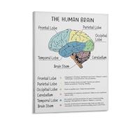 Psychology Classroom Decor Human Brain Poster Anatomy Brain and Behavior Mental Health Brain Lobes Functions CBT Art Print(Framed,08x12inch(20x30cm))
