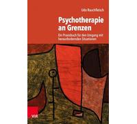 Psychotherapie an Grenzen: Ein Praxisbuch für den Umgang mit herausfordernden Situationen