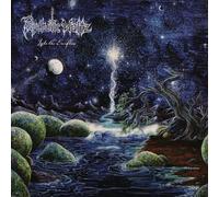 Psychotic Waltz – Into the Everflow – Vinilo – Importación USA