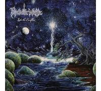 Psychotic Waltz - Into The Everflow [Vinilo]