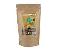 Psyllium en Polvo 200 g bio Naturitas Essentials | Superalimento | Rico en fibra