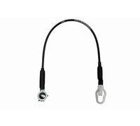 PT Auto Warehouse TC-FO503-RH - Cable de soporte para portón trasero - solo para cabinas de tripulación, lado derecho del pasajero