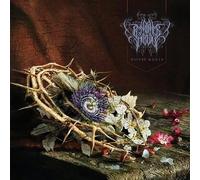 P鮩tence onirique - Nature morte
