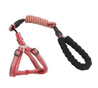PTILSERY Correa de chaleco para entrenamiento y caminar para perros grandes y pequeños, cuerda con hebilla en D, multicolor