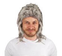 P'TIT CLOWN 66633 - Peluca de mulete, mullet wig para disfraz, aspecto de años 80, 70 - Carnaval, fiestas temáticas, discoteca, fiestas de disfraces - adulto hombre - pelo sintético - gris