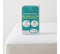 P'tit Lit - Protector de colchón de bebé 80 x 160 cm - Protector Impermeable - Antiácaros - Hebillas 100% algodón - Absorbente y silencioso - Forma de sábana Bajera - Protección para Cama Infantil